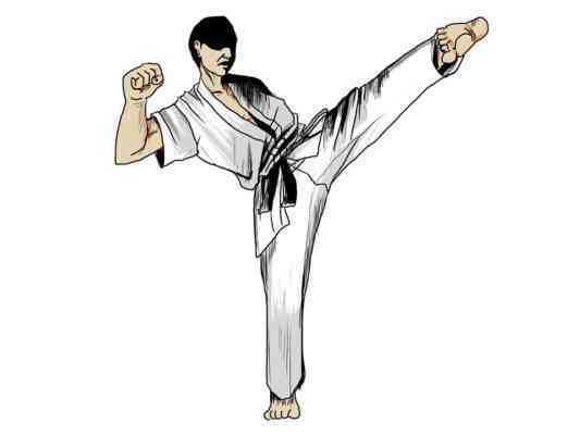 Karate hold