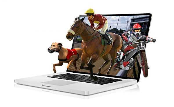 Virtual Horse Race Betting